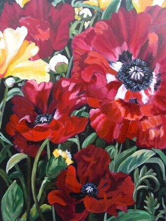 Claire's Poppies