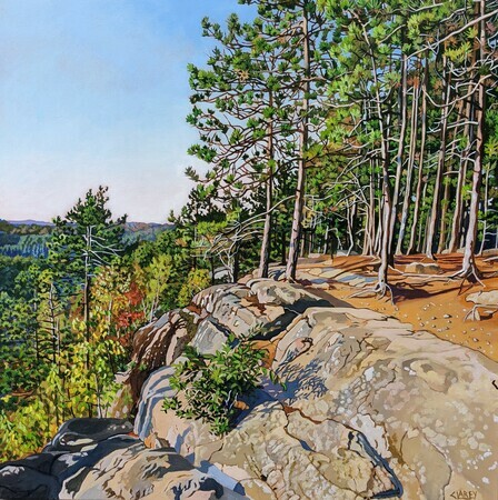 A View from the Top, Algonquin Park