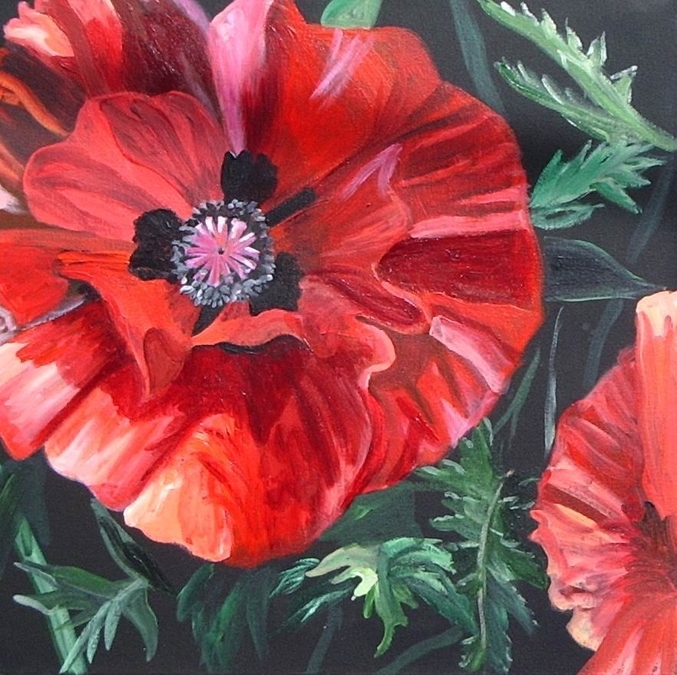 Anna's Poppies 1