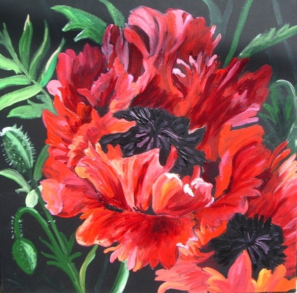 Anna's Poppies 2