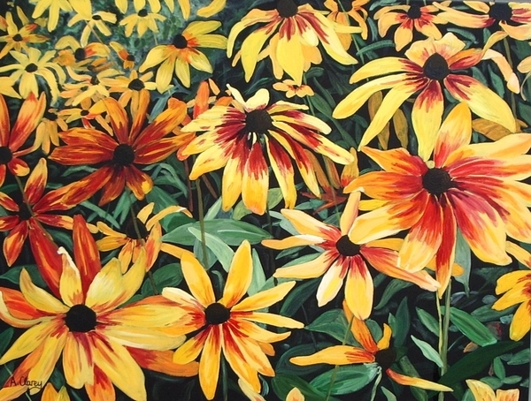 Black Eyed Susans