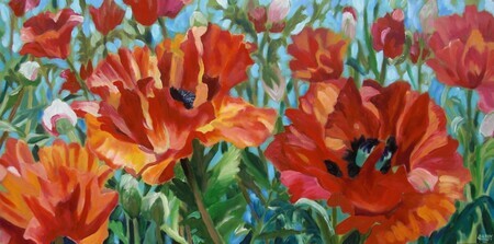 Donna's Poppies