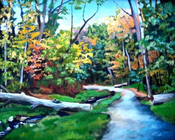 Fall Ravine Scene