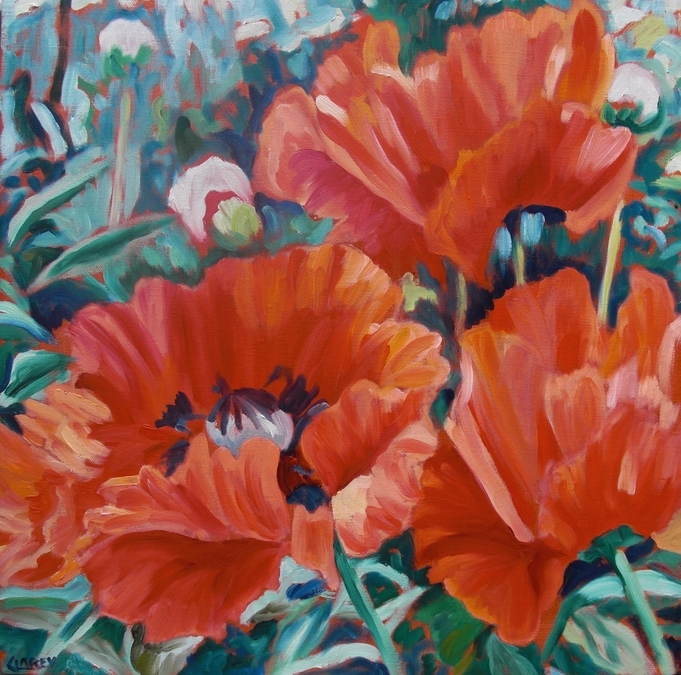 Pretty Poppies