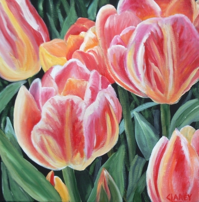 Tulips 2